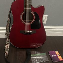 Takamine 12 String Guitar