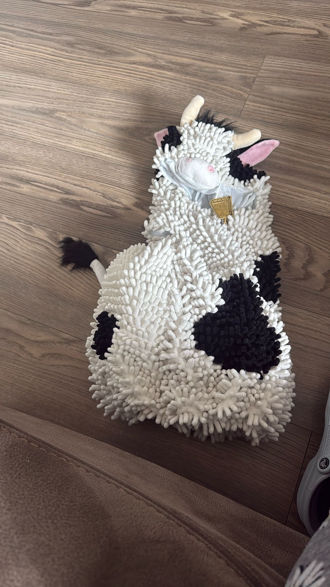 Cow
