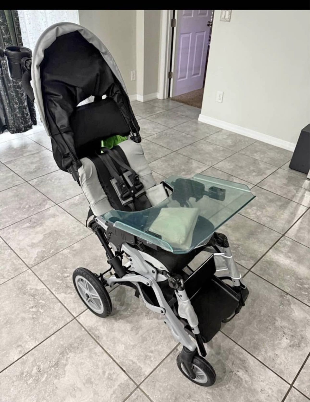 Legerro Stroller (special needs)