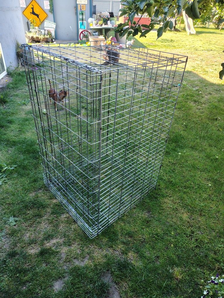 Bird Cage