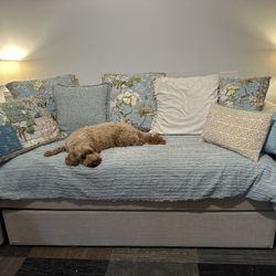 Daybed Sofa With Trundle Bed