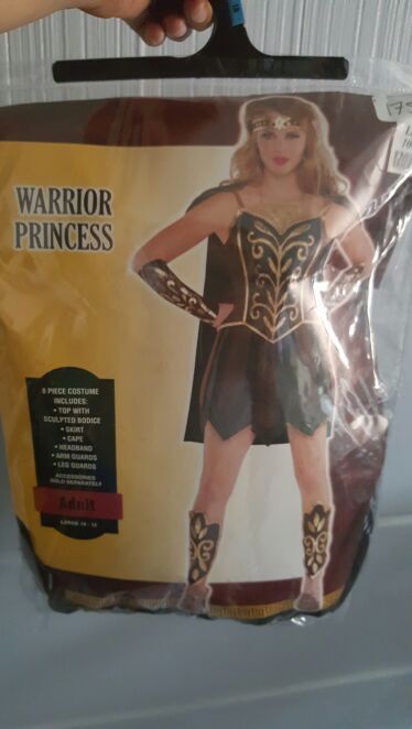 Warrior princess costume