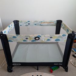 Infant-to-Toddler Pack-N-Play