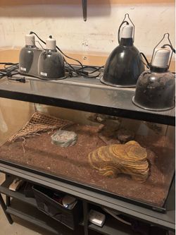 40 Gallon Tank Reptile Kit