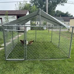 Outdoor animal enclosure