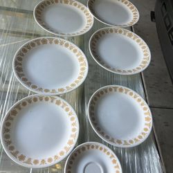 Dinner Plates Set 5 Dlrs