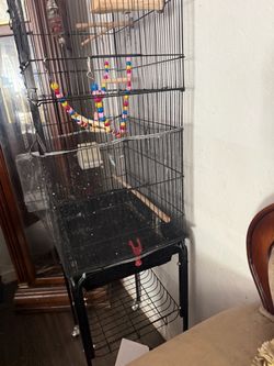 birdcage