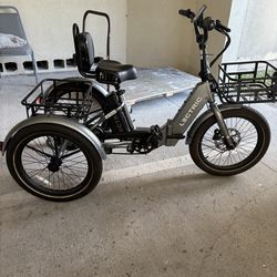 Adult Trike