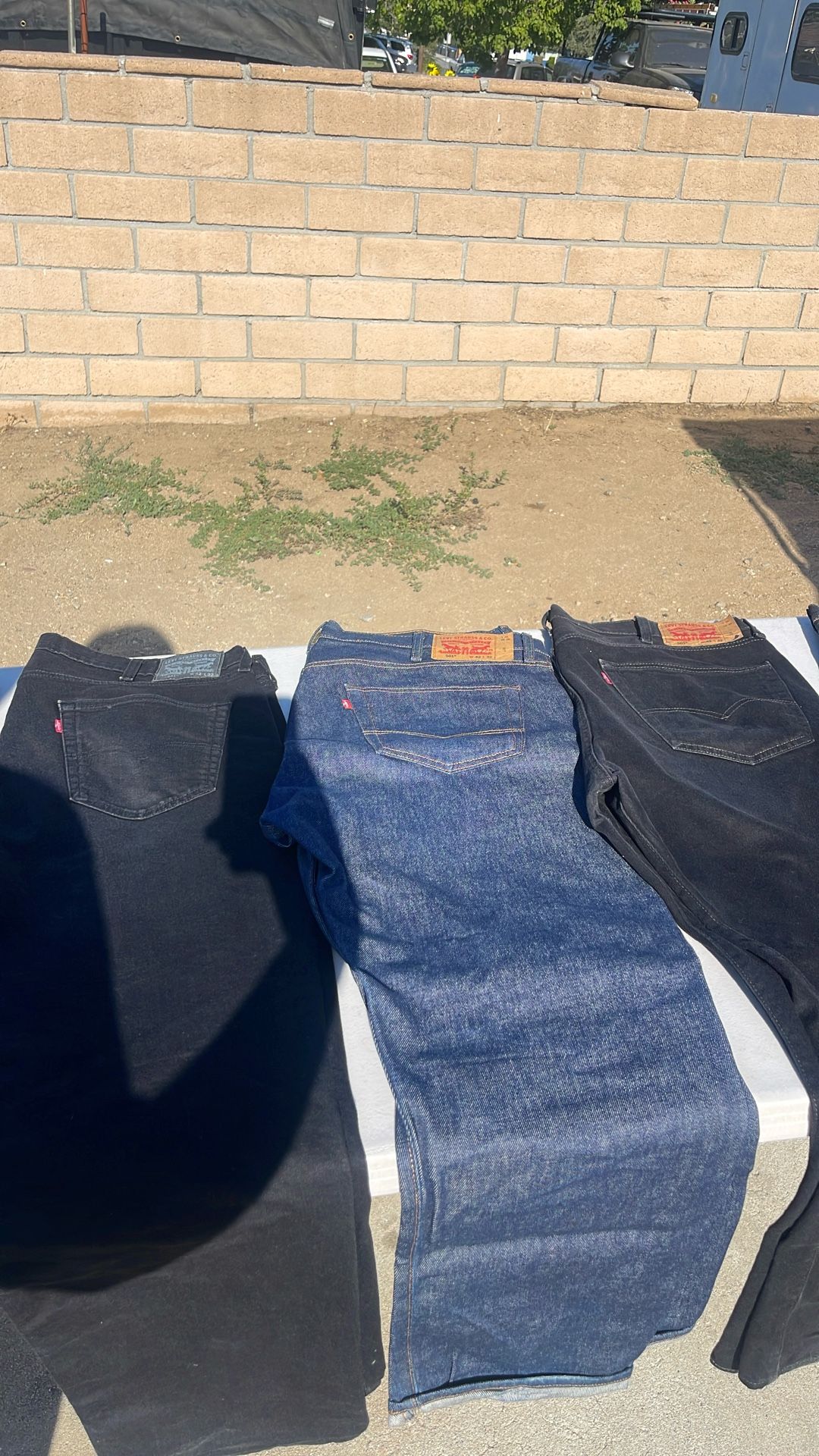 Levi Pants 