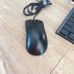 BenQ EC2 E-sports Gaming Mouse