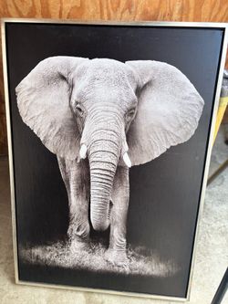 Elephant wall art