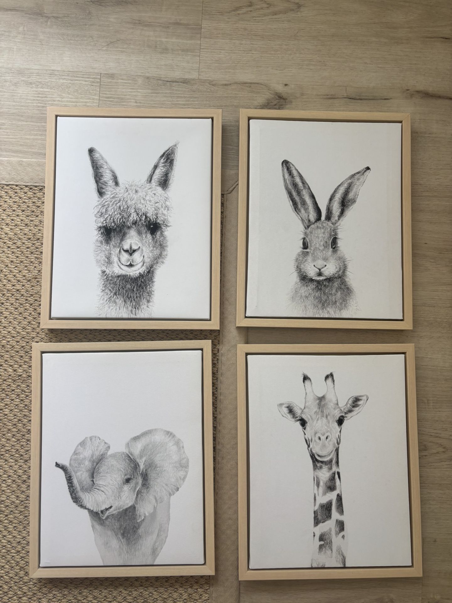 Animal Prints/ Frames