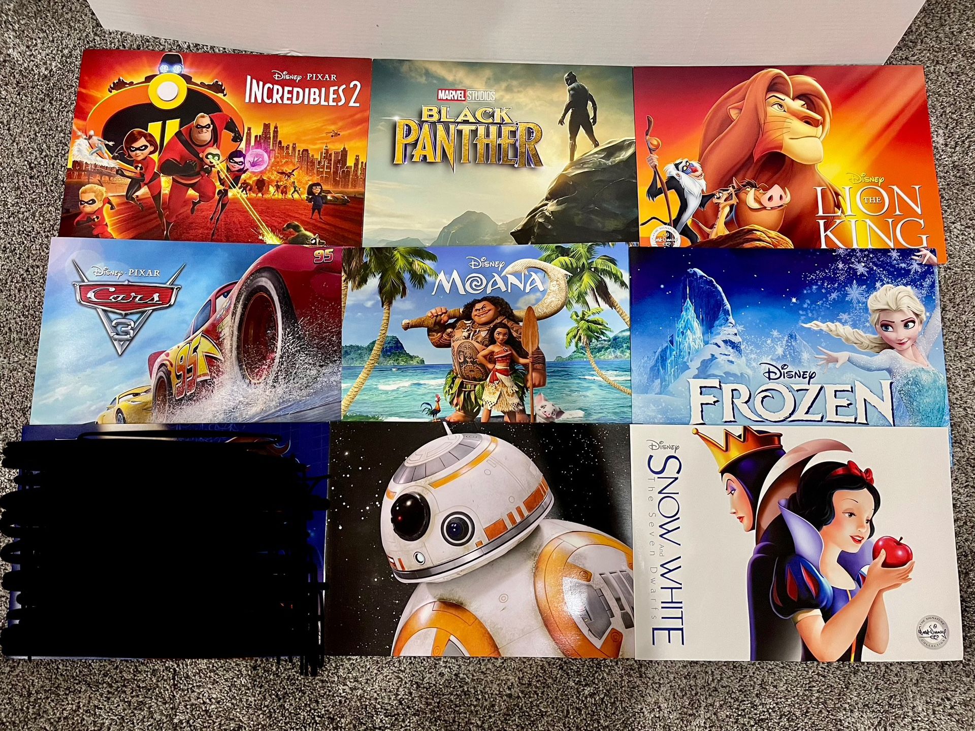Disney Store Lithographs
