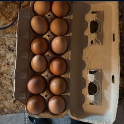 Eggs