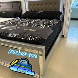 Queen Elegant Grey/ Silver Bed w/ LED Lights 