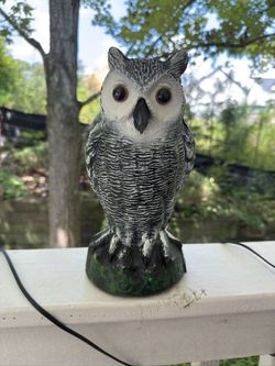 Decorative Owl Statue