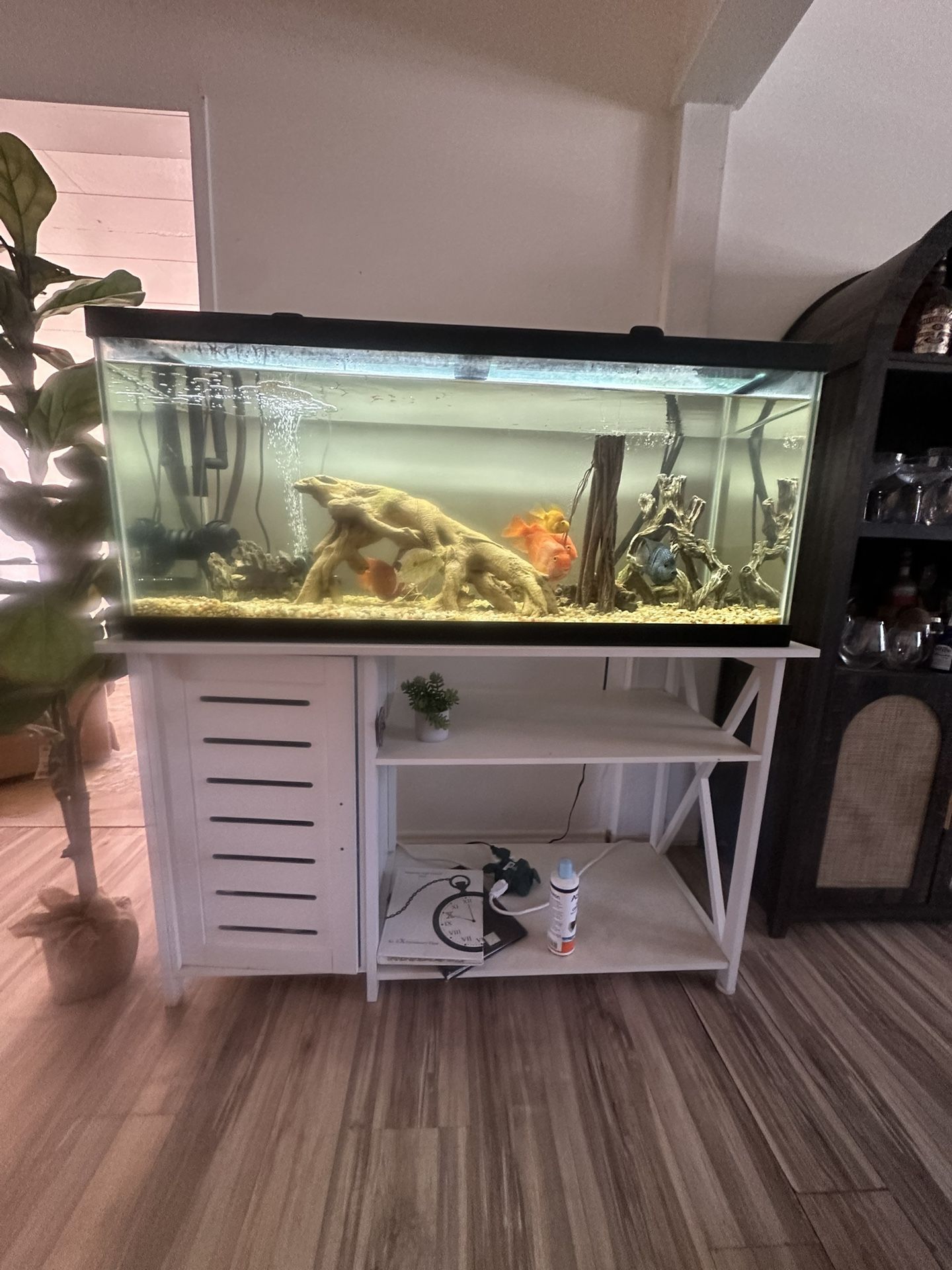 75 Gallon Tank And Filtet