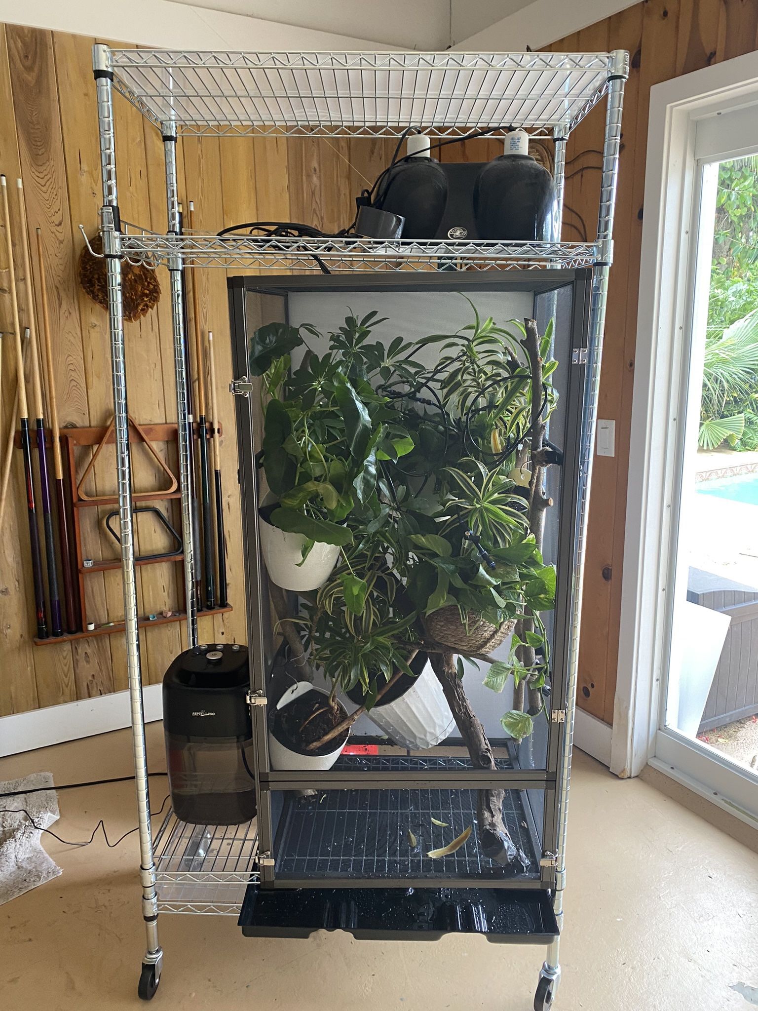 Chameleon Dragon Strand Cage