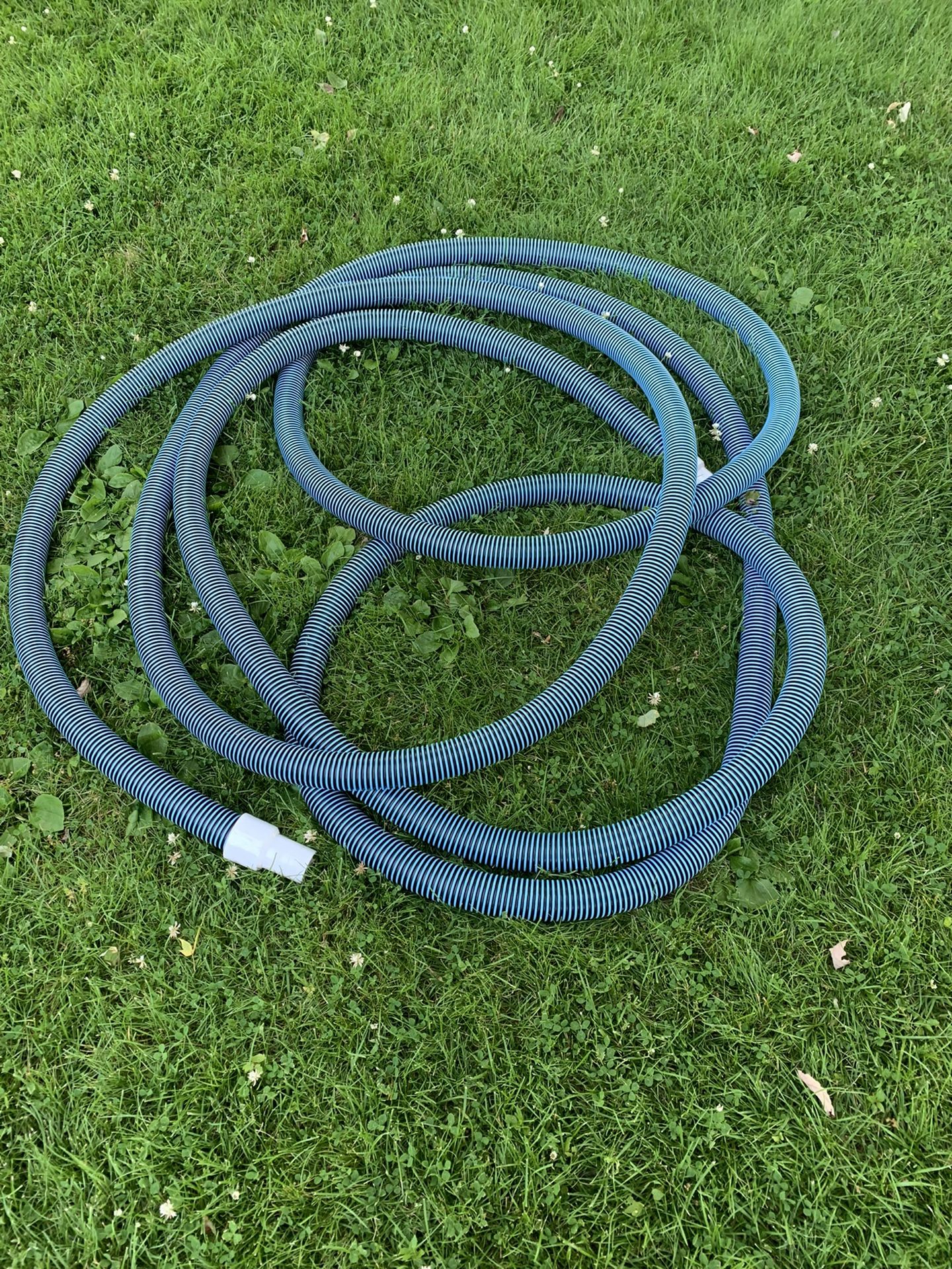 Pool Filter hose 40’ Long