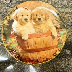 Royal Doulton  “A Bushel and  a Pup” Don Scarlett Puppies