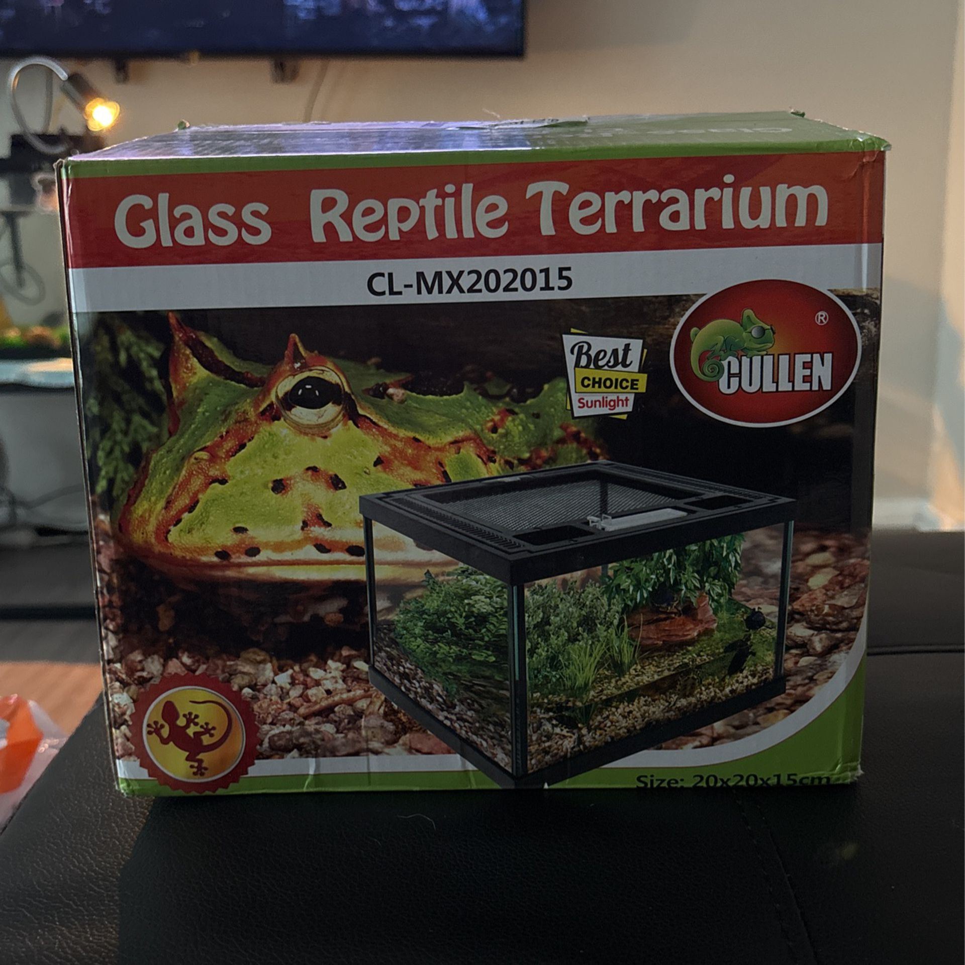 Glass Reptile Terrarium & Pebbles