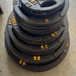 Complete Powertec Olympic weight set