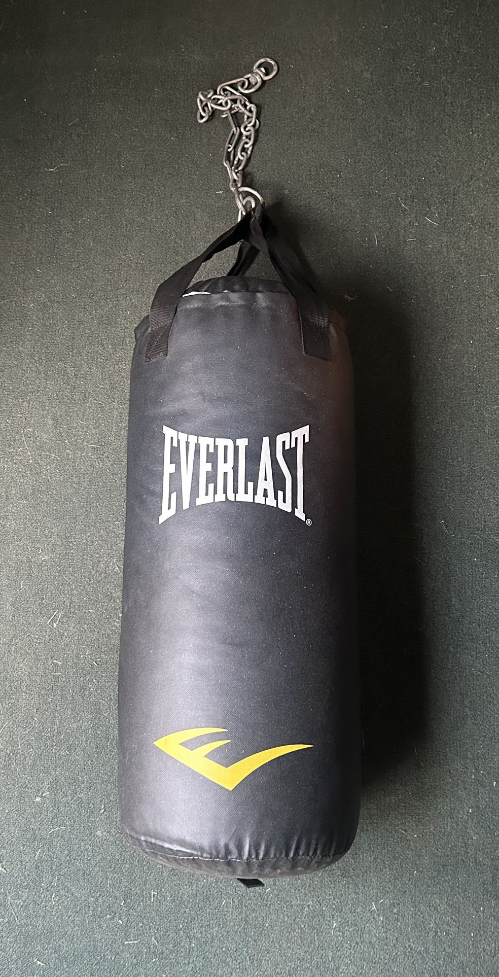 Everlast Punching Bag
