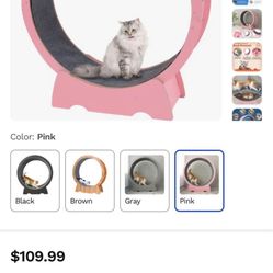 ALL NEW Cat Exercise Wheel