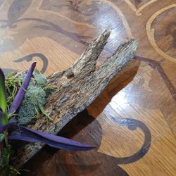 Artesania   Anguila Fish Plate