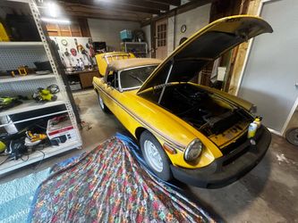 1979 mg