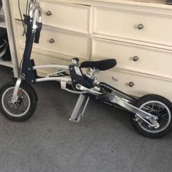 Genius Mobiky Folding Bike 
