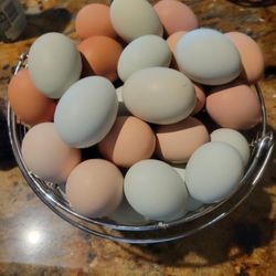 Ranch Chicken Eggs / Huevos De Rancho 