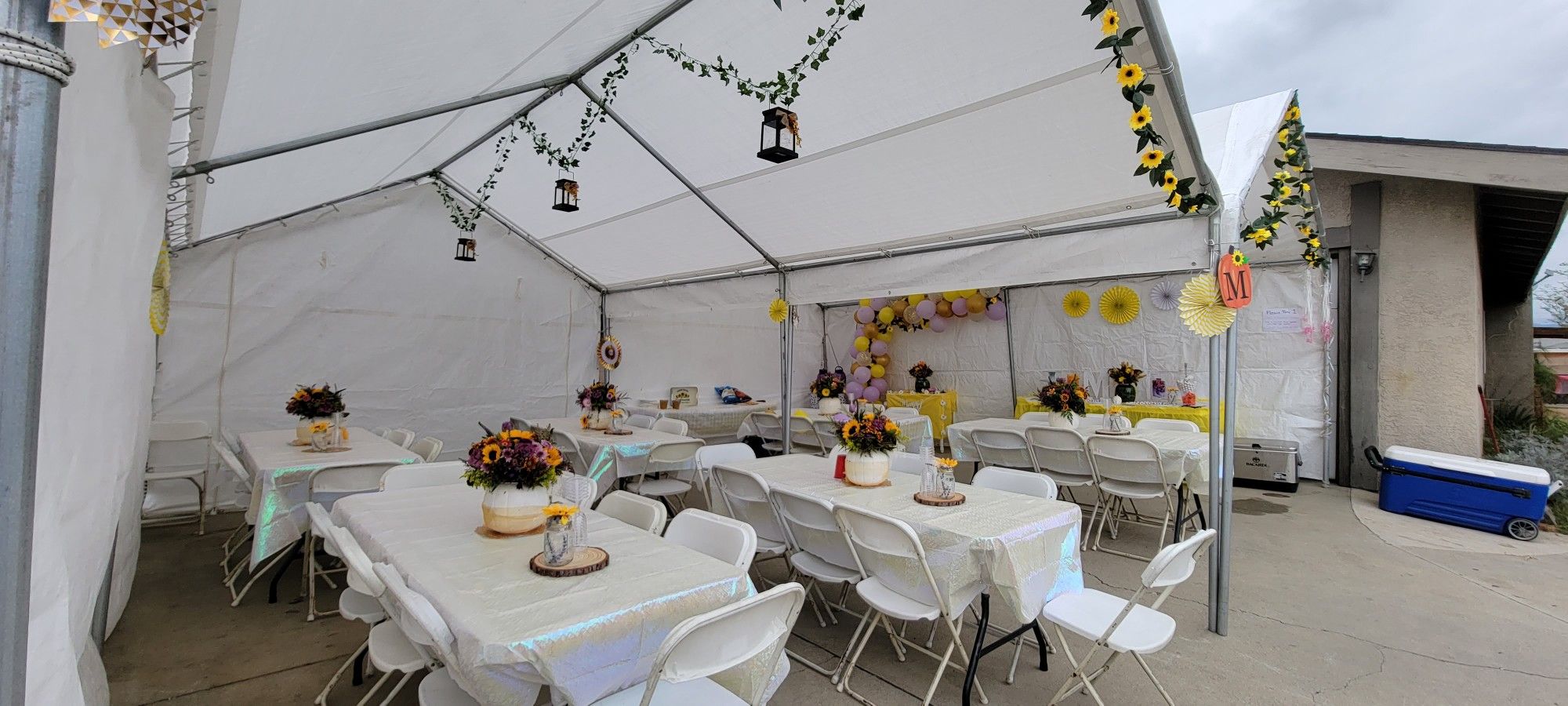 2 20x12 Valance Vinyl Tents. Tarp Covers. Pipes And Foot Pads.