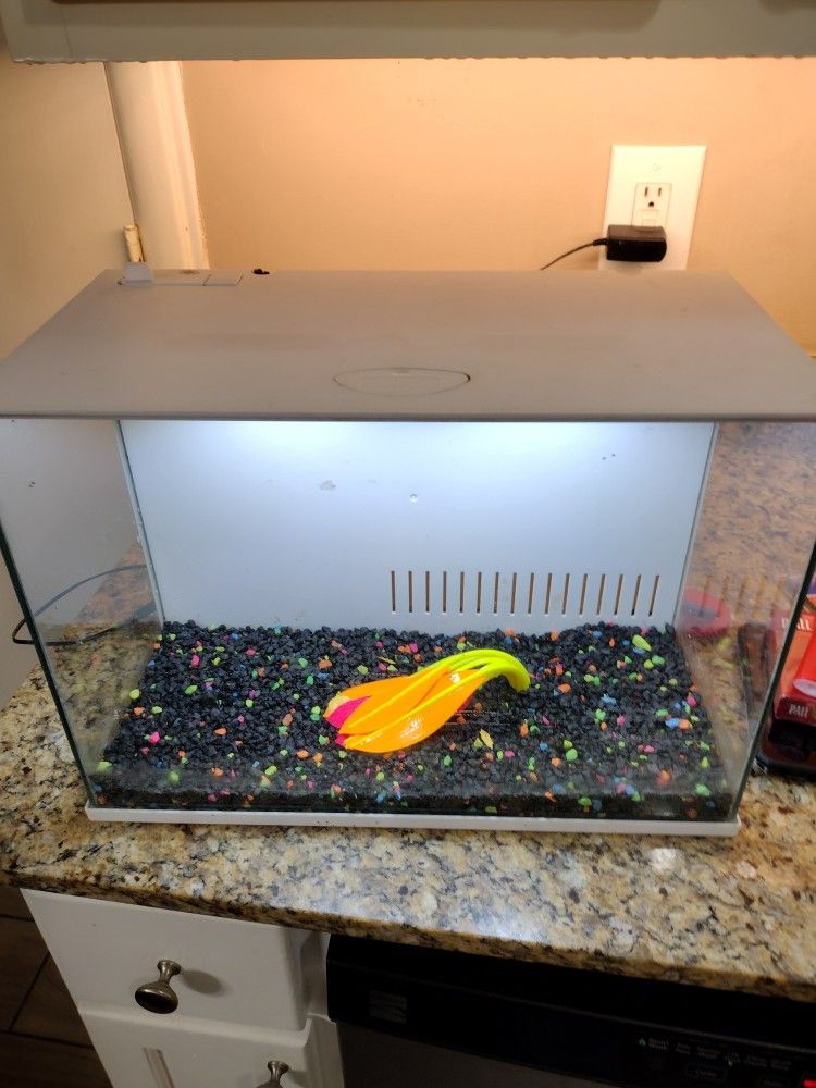 Small Fish Tank