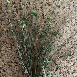 Large Greens For Decorative Vase