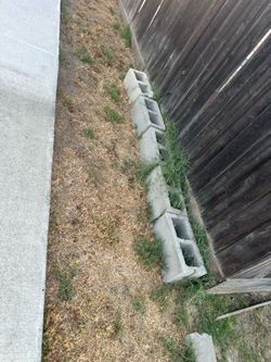 Cement blocks