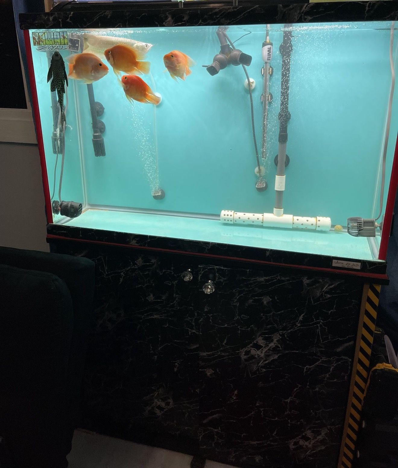 45gal Aquarium +2 Canister Filter Stand Included