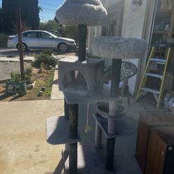 Cat Tree