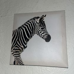 Zebra Painting Small