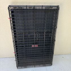 Dog Crate-  Kong