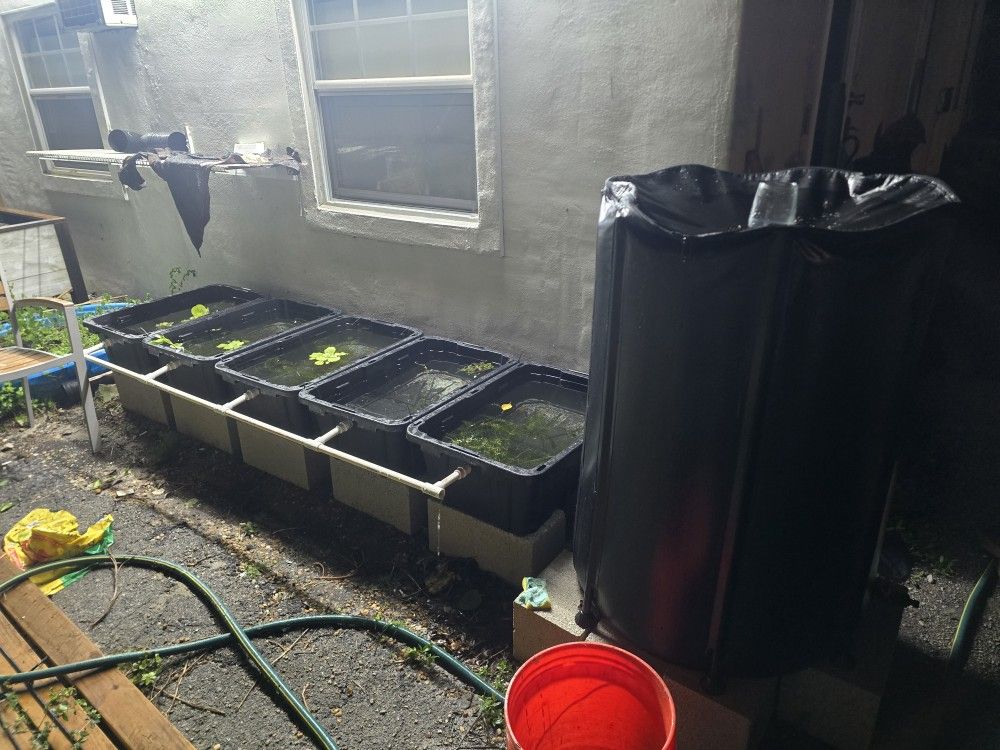 aquaponics system