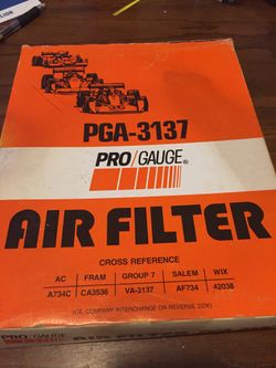 Pro / Gauge Air Filter 3137