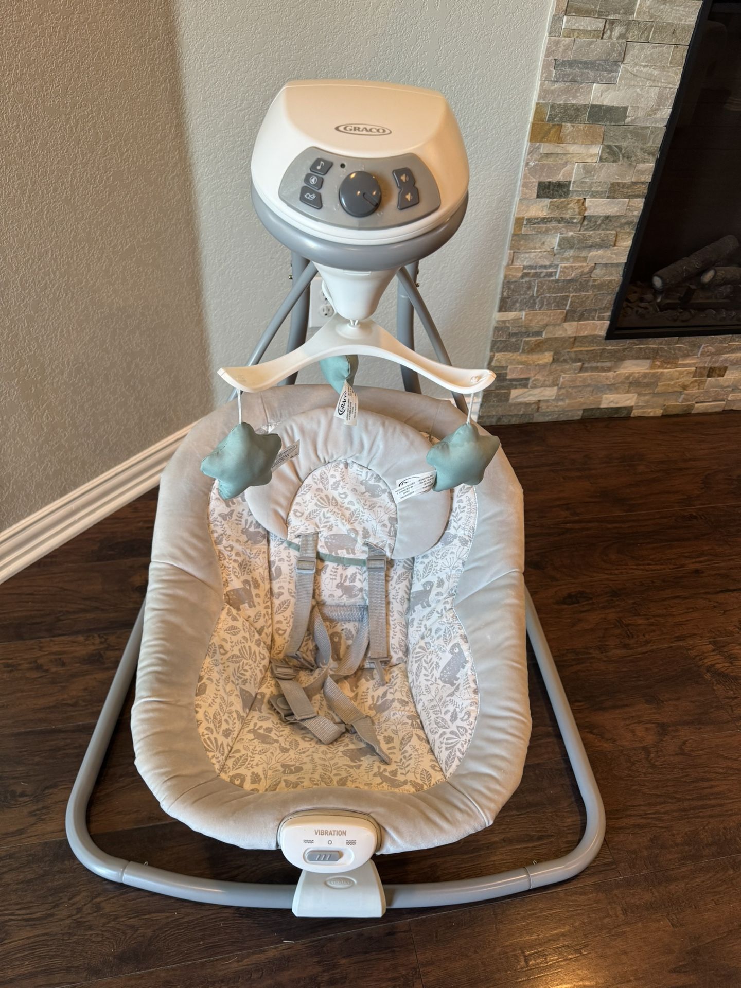 Graco Baby Swing
