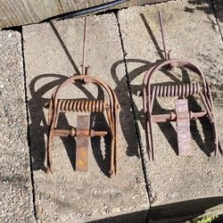 Two MOLE TRAPS