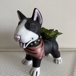Ceramic (black) bull terrier decor ,  artifical plant (succulents) 