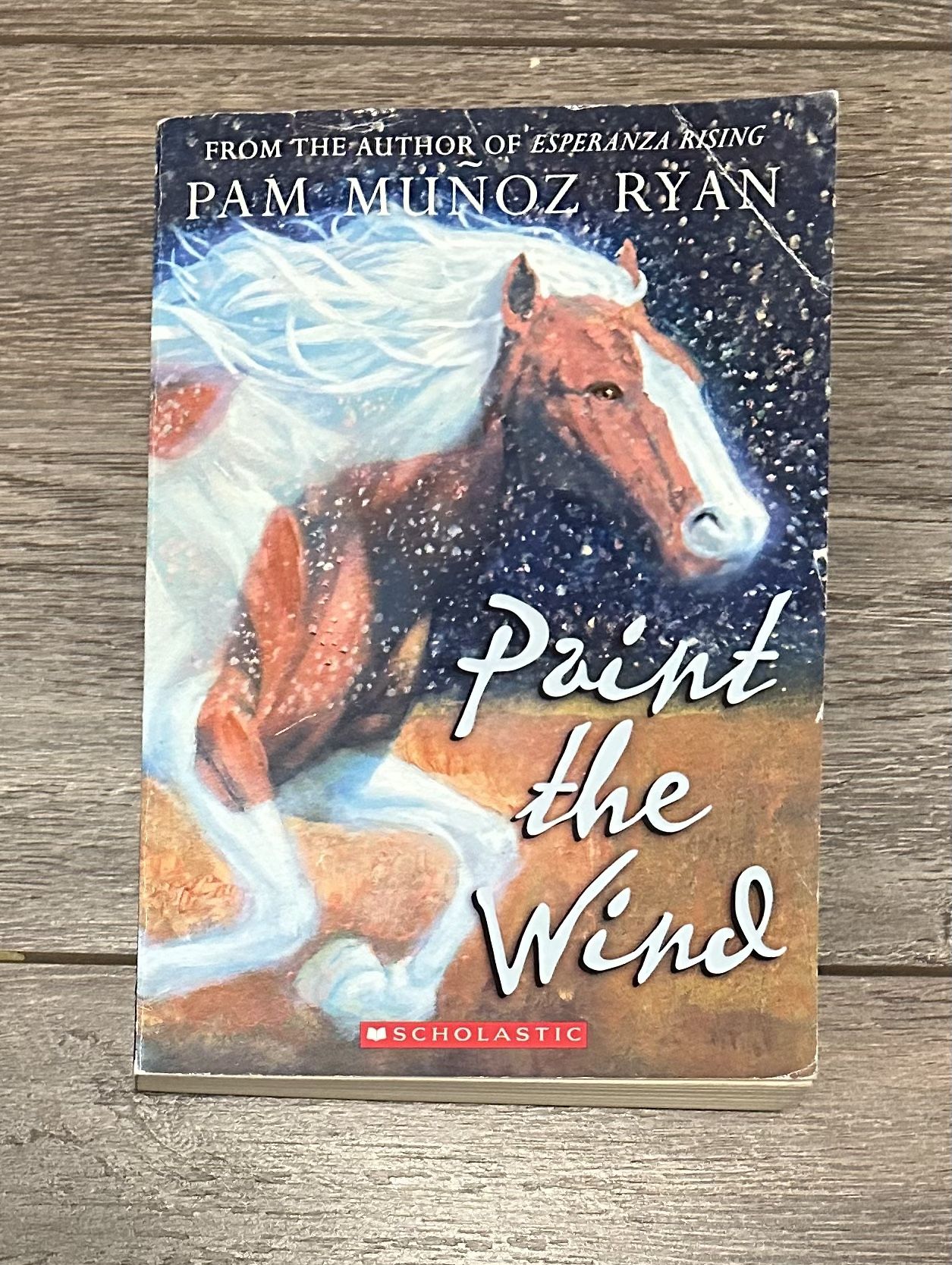 Paint The Wind 