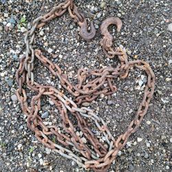 13' Chain With Hooks 