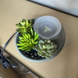 Little Garden Warmer 