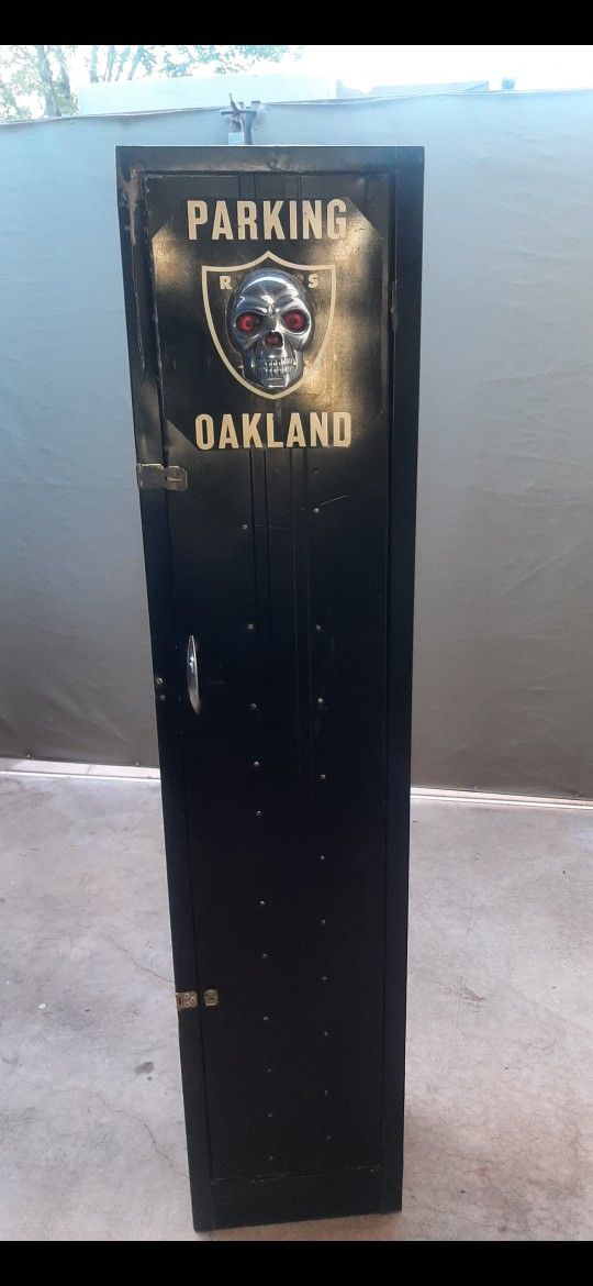 👍❌ Metal Cabinet Gun Case