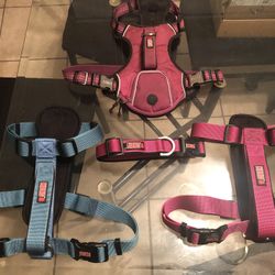 Kong Harnesses